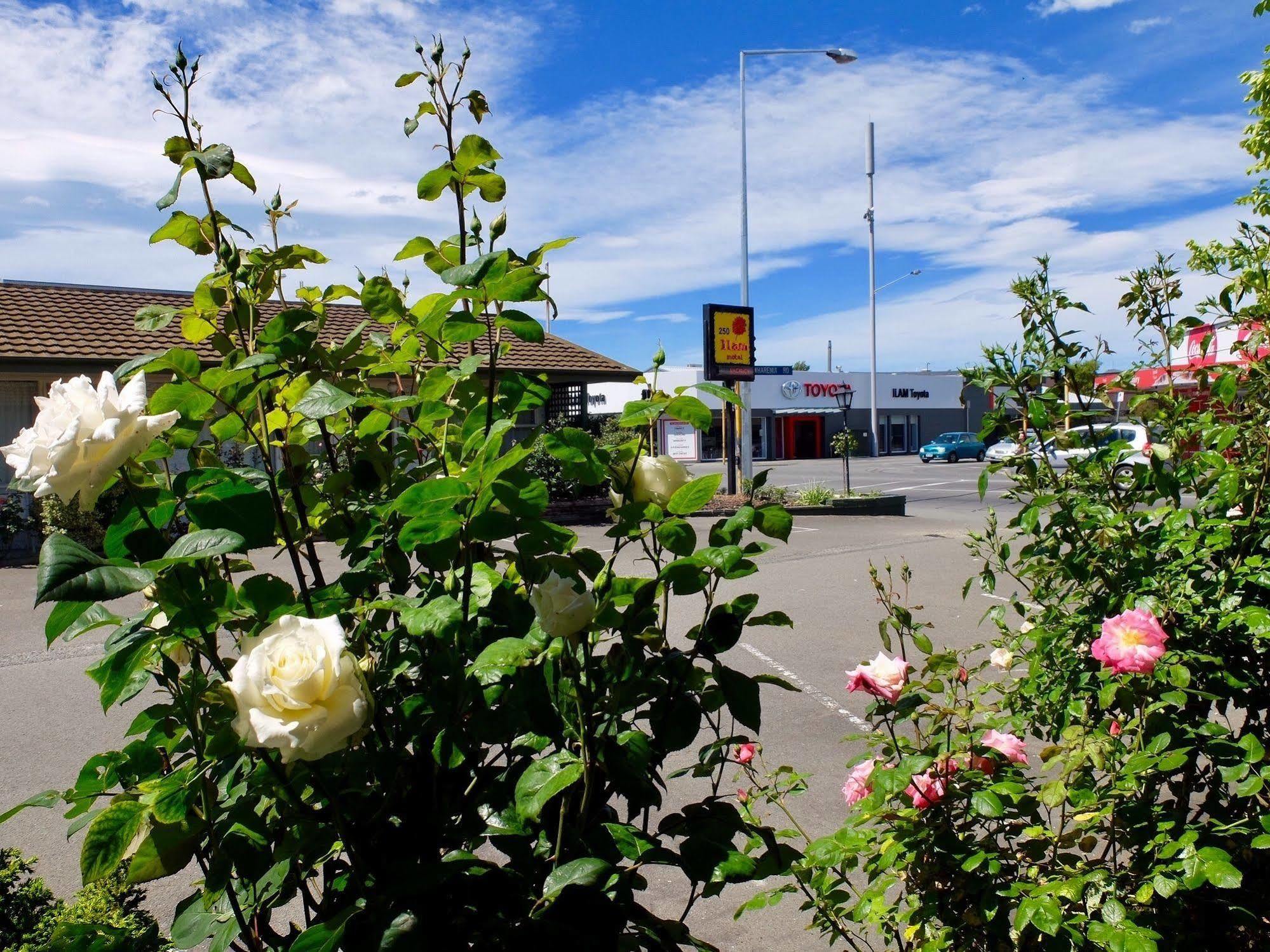 Ilam Motel Крайстчёрч Экстерьер фото